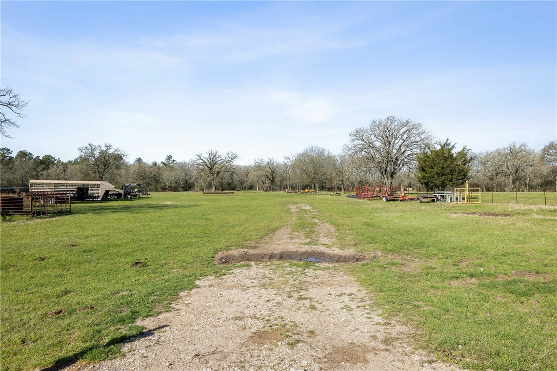 128 Duke Road Bedias, TX 77831 - Photo 39 of 49 a view of a field with grass and trees