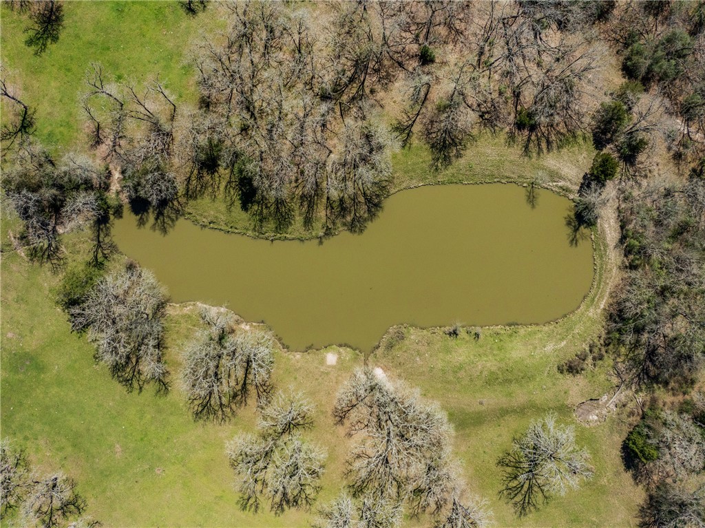 128 Duke Road Bedias, TX 77831 - Photo 46 of 49 a view of ocean