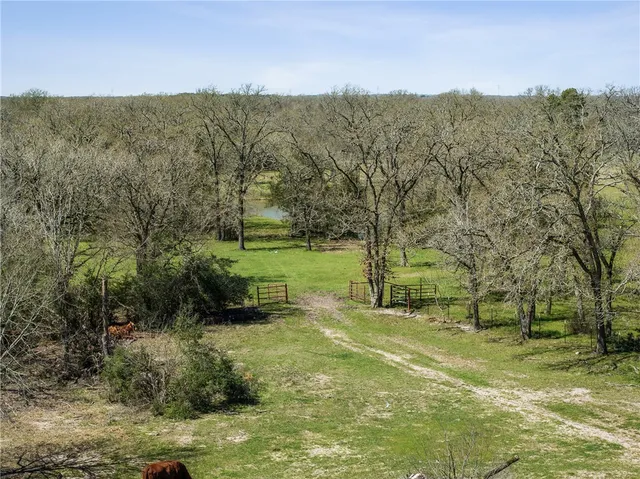 $1,730,000 | 128 Duke Road, Bedias, TX 77831