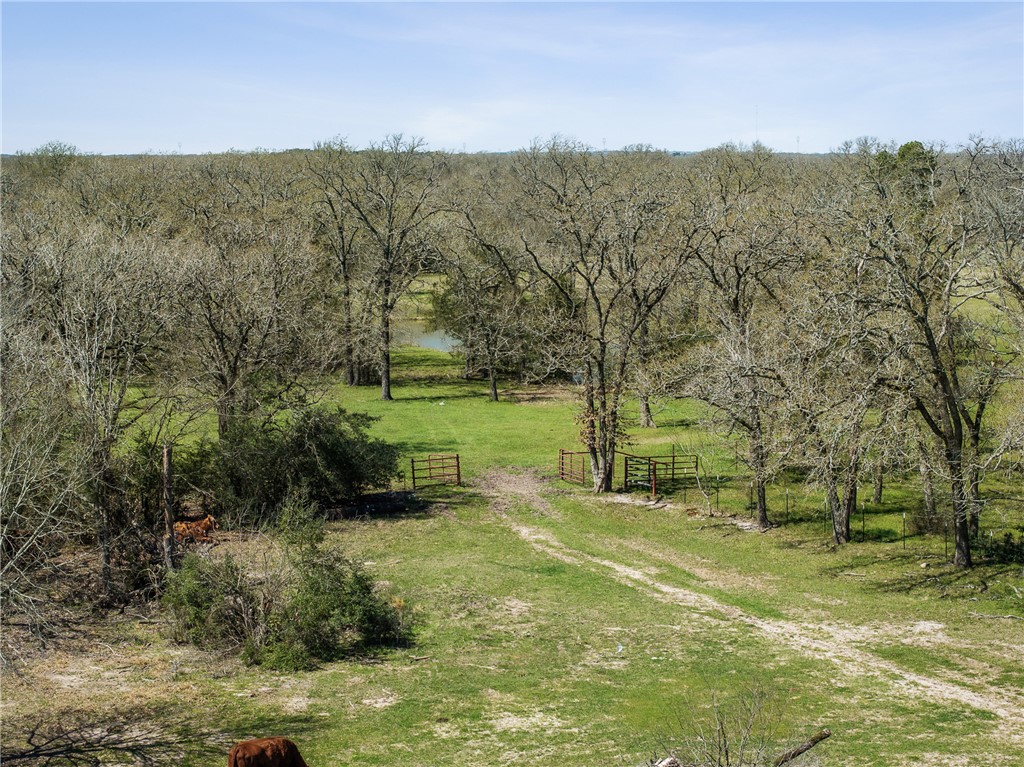 128 Duke Road Bedias, TX 77831 - Photo 47 of 49 a view of a park with large trees