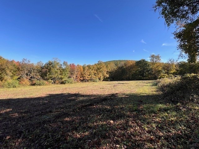 Lot D Lot D South Road Hampden, MA 01036 - Photo 12 of 22