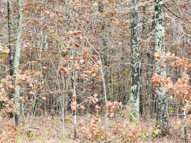 $400,000 | 0 Carter Route 266, Grandin, MO 63943