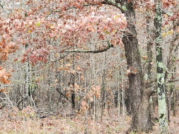 $400,000 | 0 Carter Route 266, Grandin, MO 63943