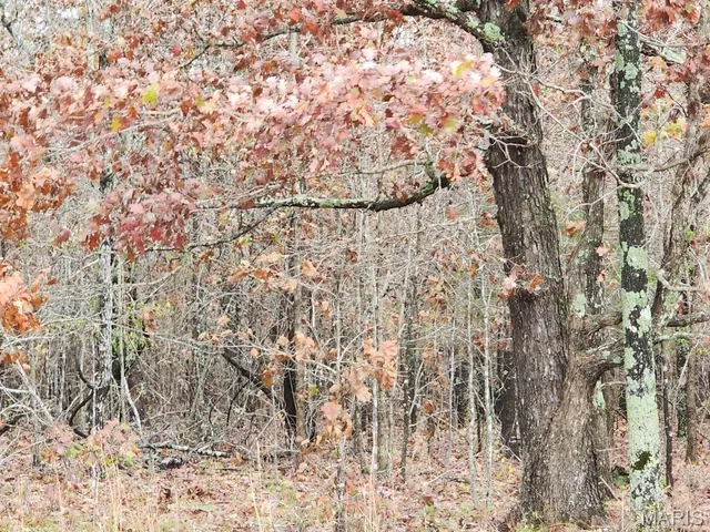 $400,000 | 0 Carter Route 266, Grandin, MO 63943