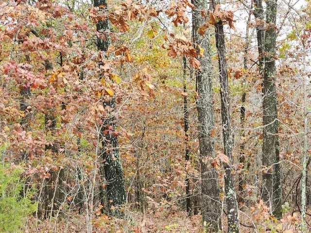 $400,000 | 0 Carter Route 266, Grandin, MO 63943