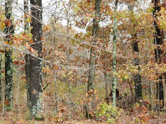 $400,000 | 0 Carter Route 266, Grandin, MO 63943