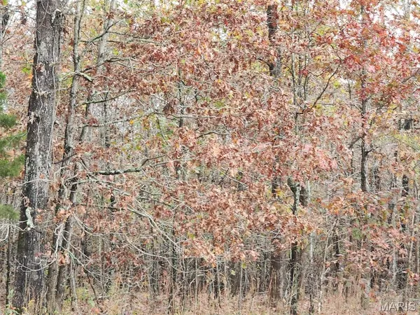 $400,000 | 0 Carter Route 266, Grandin, MO 63943