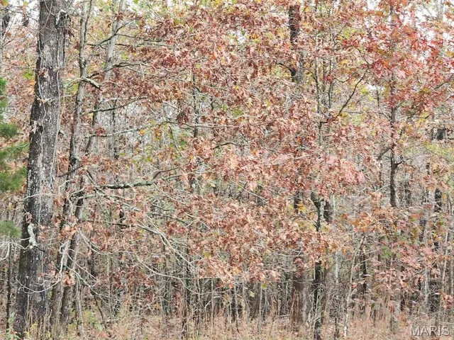 $400,000 | 0 Carter Route 266, Grandin, MO 63943