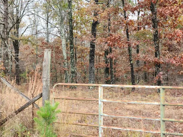 $400,000 | 0 Carter Route 266, Grandin, MO 63943