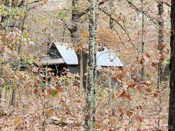 $400,000 | 0 Carter Route 266, Grandin, MO 63943