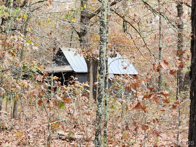 $400,000 | 0 Carter Route 266, Grandin, MO 63943