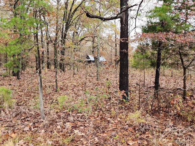 $400,000 | 0 Carter Route 266, Grandin, MO 63943