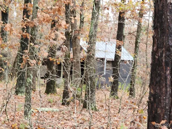 $400,000 | 0 Carter Route 266, Grandin, MO 63943