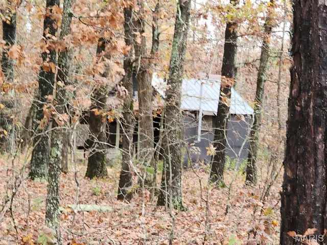 $400,000 | 0 Carter Route 266, Grandin, MO 63943