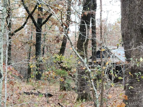 $400,000 | 0 Carter Route 266, Grandin, MO 63943