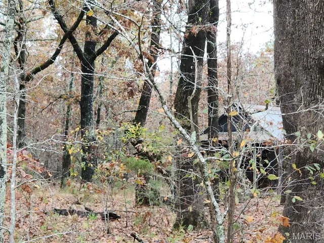 $400,000 | 0 Carter Route 266, Grandin, MO 63943