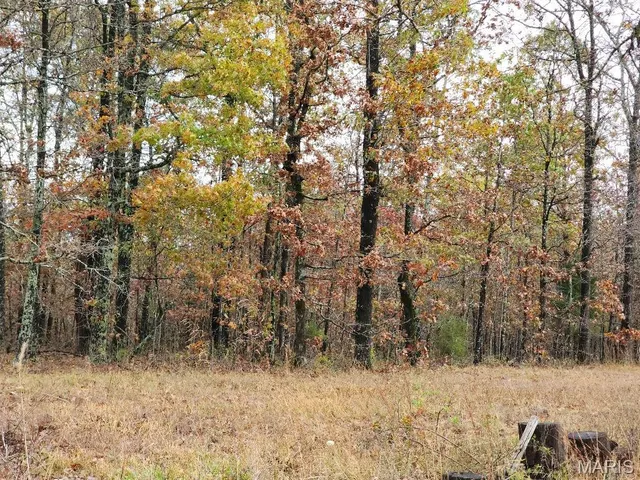 $400,000 | 0 Carter Route 266, Grandin, MO 63943