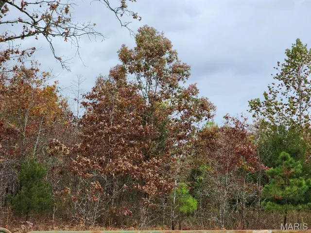 $400,000 | 0 Carter Route 266, Grandin, MO 63943