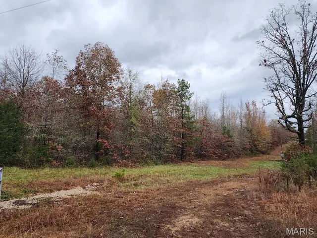 $400,000 | 0 Carter Route 266, Grandin, MO 63943