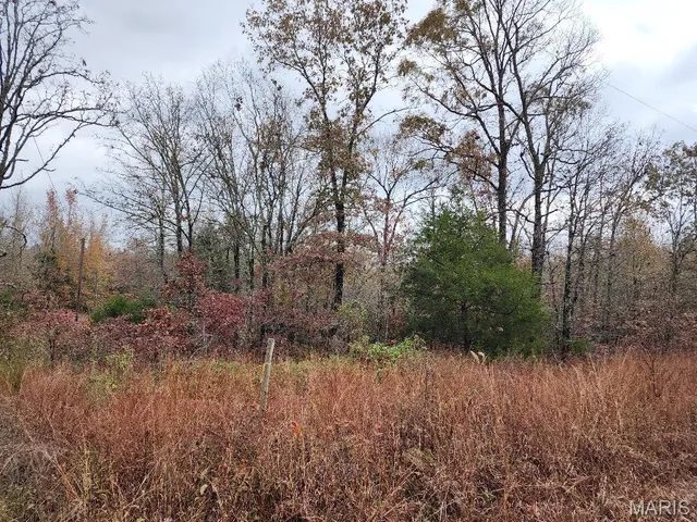 $400,000 | 0 Carter Route 266, Grandin, MO 63943