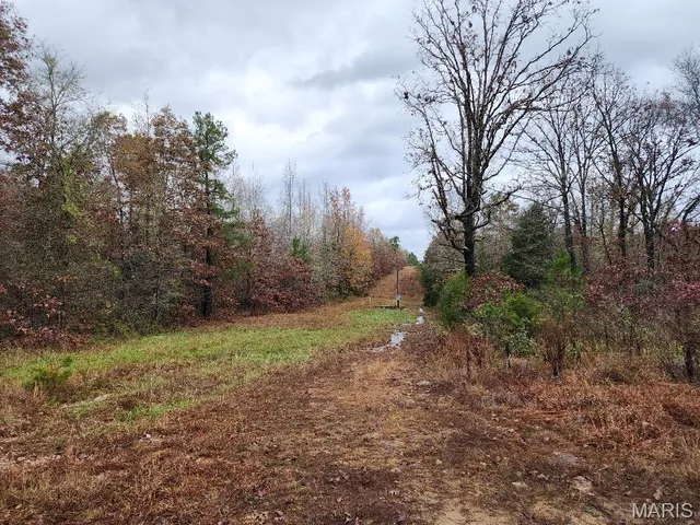 $400,000 | 0 Carter Route 266, Grandin, MO 63943