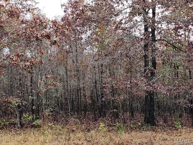 $400,000 | 0 Carter Route 266, Grandin, MO 63943