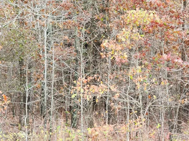 $400,000 | 0 Carter Route 266, Grandin, MO 63943