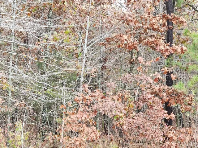 $400,000 | 0 Carter Route 266, Grandin, MO 63943