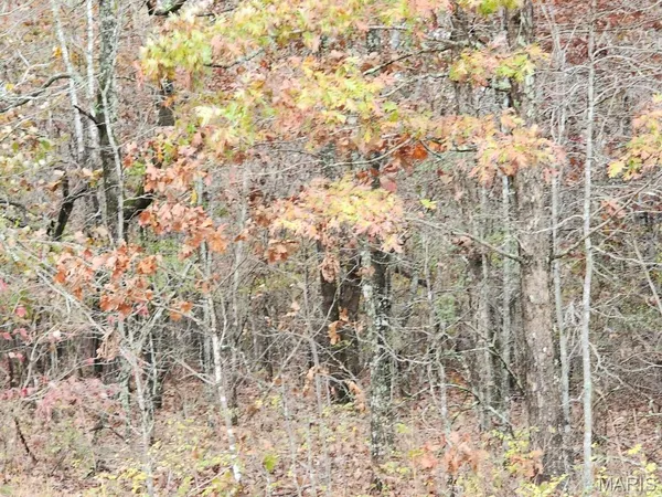 $400,000 | 0 Carter Route 266, Grandin, MO 63943