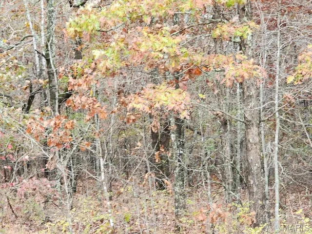 $400,000 | 0 Carter Route 266, Grandin, MO 63943