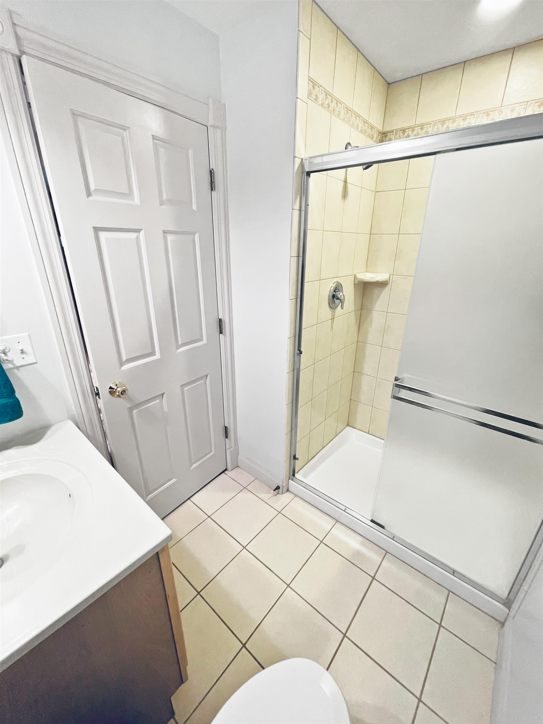 27-54 Ridgeview Drive Lake Carroll, IL 61046 - Photo 31 of 58 a bathroom with a sink and shower