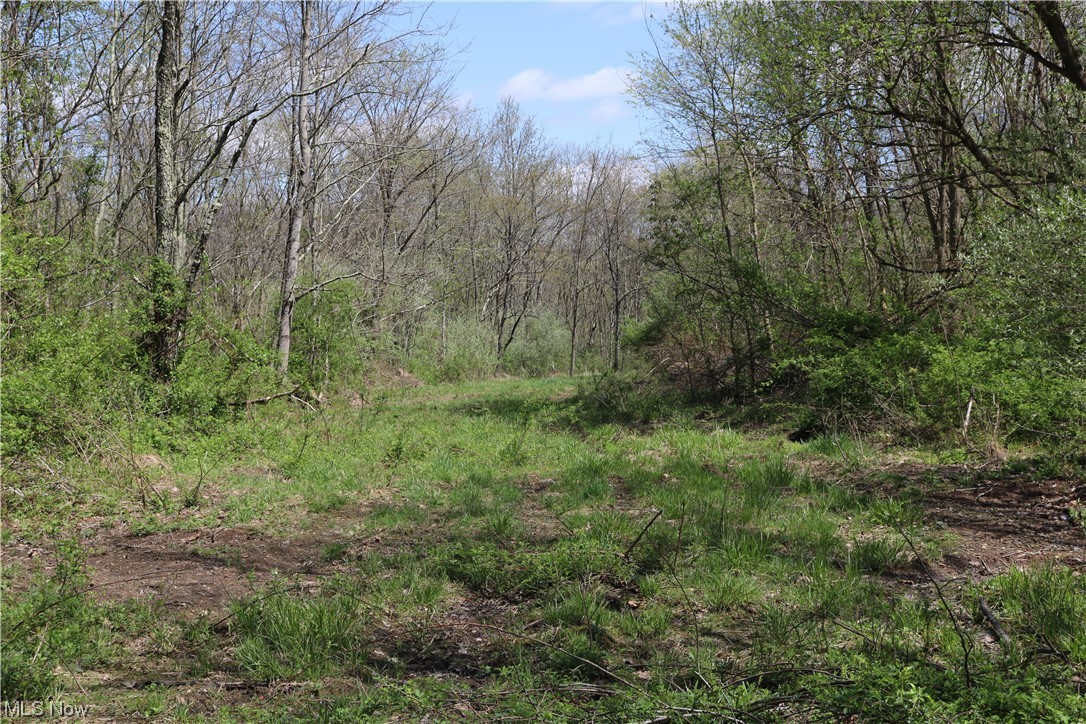 Hootowl Ridge Road Caldwell, OH 43724 - Photo 27 of 30 Gallery Image 27