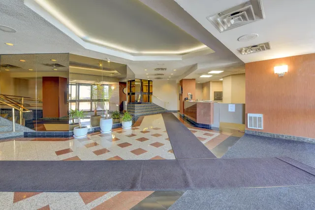 a living room with two couches and large trees