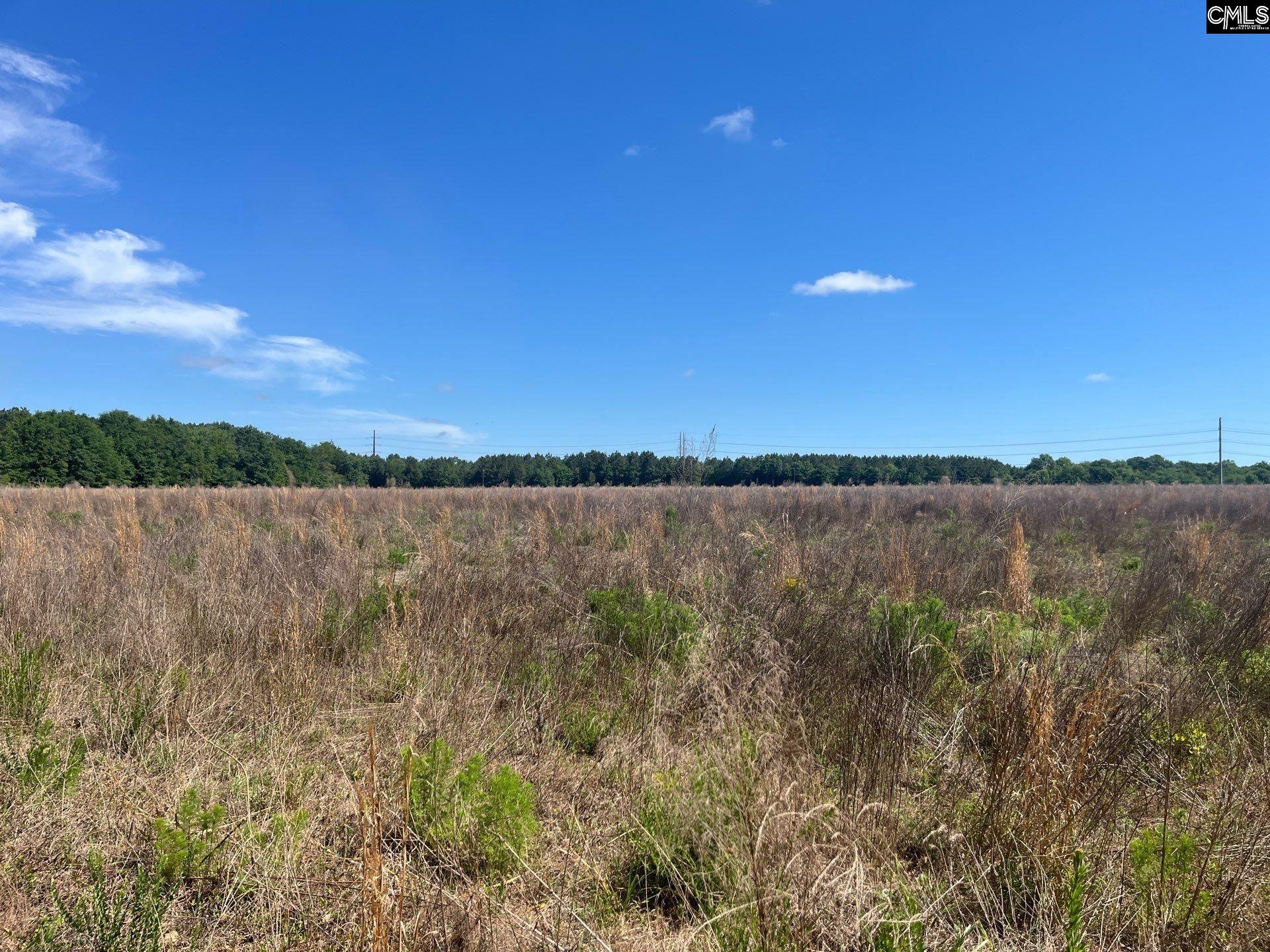 6 Salley Road Salley, SC 29137 - Photo 3 of 14 Gallery Image 3