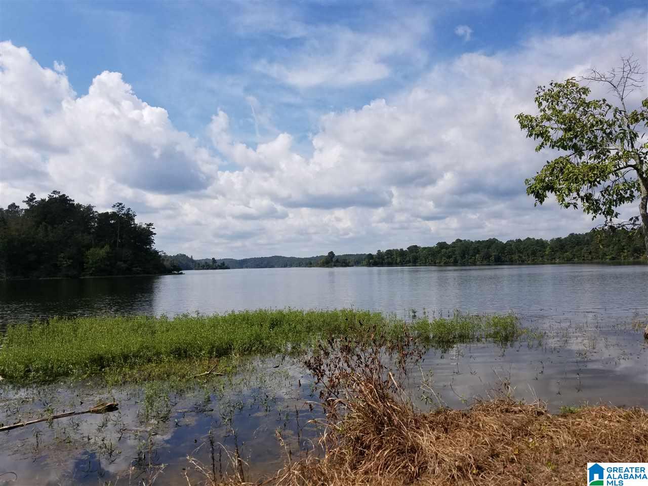 Lot 12 Eagle Mountain Road, Unit 12 Alexander City, AL 35010 - Photo 2 of 7