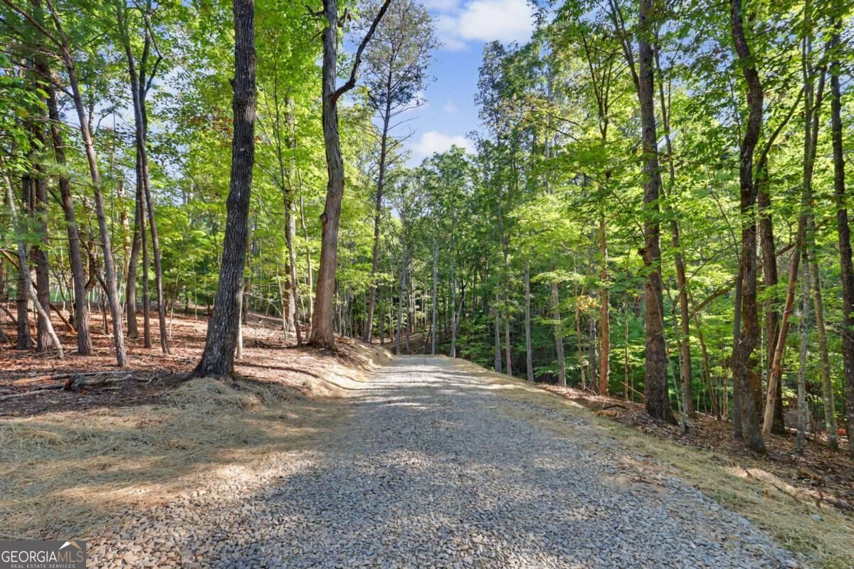 48 Woodleaf Road, Unit 29 Morganton, GA 30560 - Photo 53 of 55 Gallery Image 53