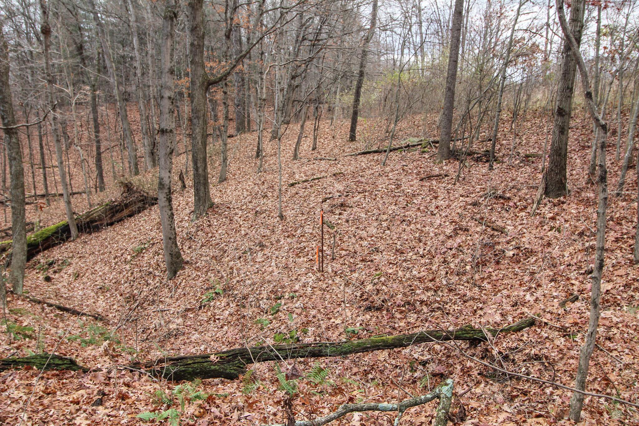 0 Shaver Road Blue Rock, OH 43720 - Photo 12 of 26 IMG_7585