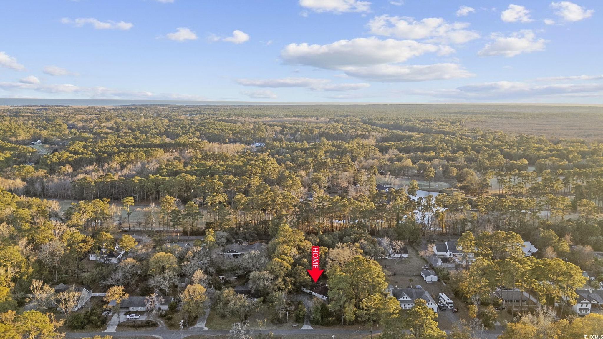 1647 Running Water Road Murrells Inlet, SC 29576 - Photo 29 of 39 Bird's eye view