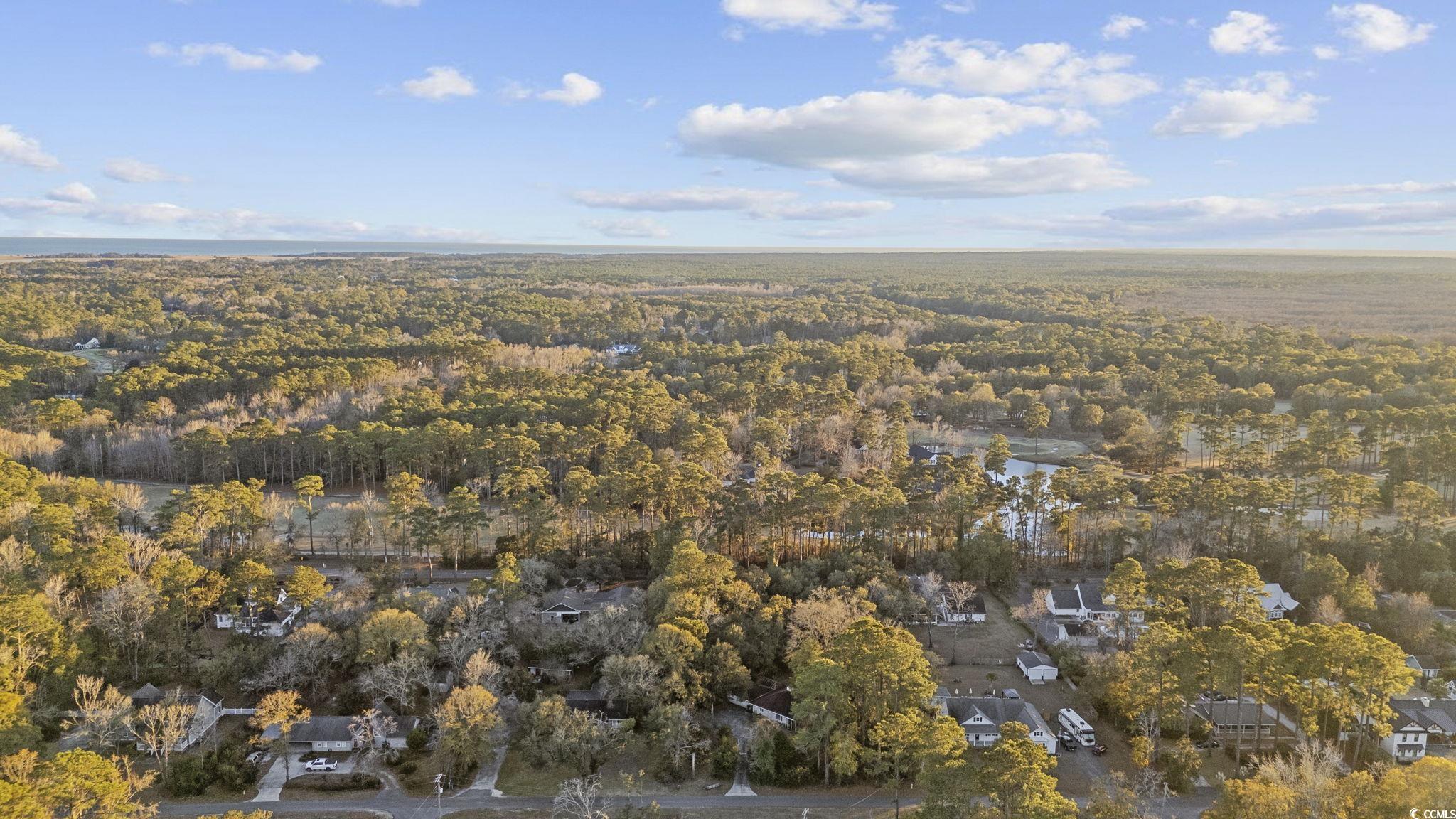 1647 Running Water Road Murrells Inlet, SC 29576 - Photo 30 of 39 Birds eye view of property