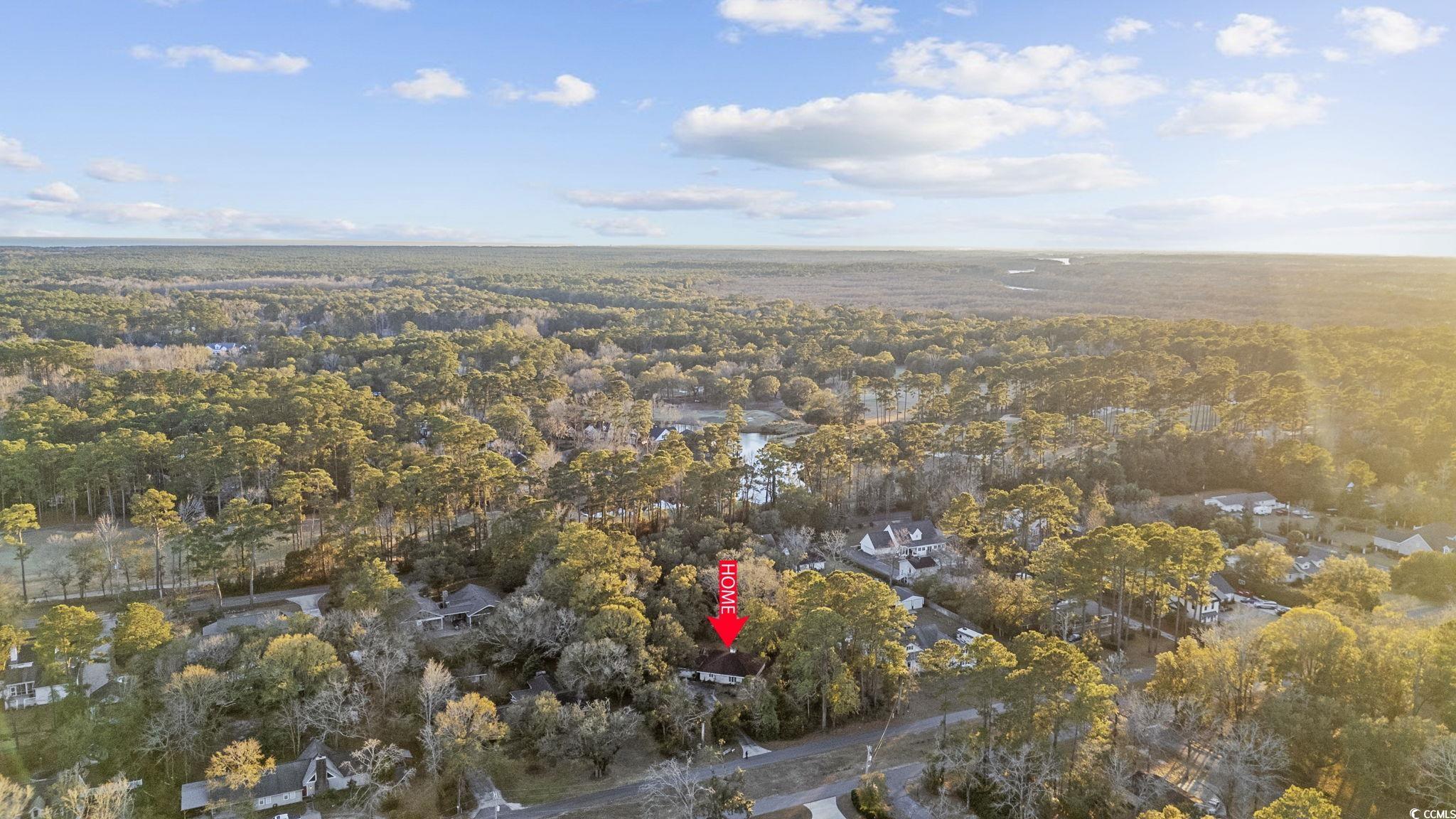 1647 Running Water Road Murrells Inlet, SC 29576 - Photo 31 of 39 Drone / aerial view