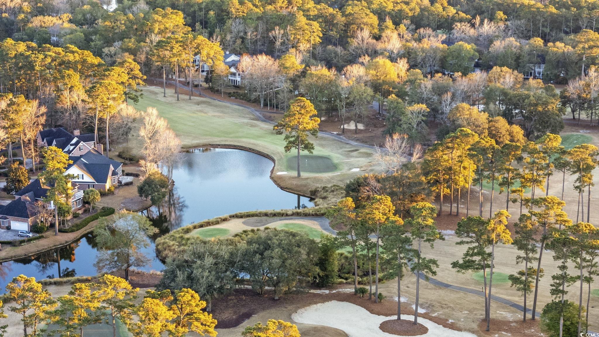 1647 Running Water Road Murrells Inlet, SC 29576 - Photo 36 of 39 Birds eye view of property with a water view