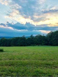 0 Collier (collyer) Road Greene, NY 13778 - Photo 1 of 1 Gallery Image 1