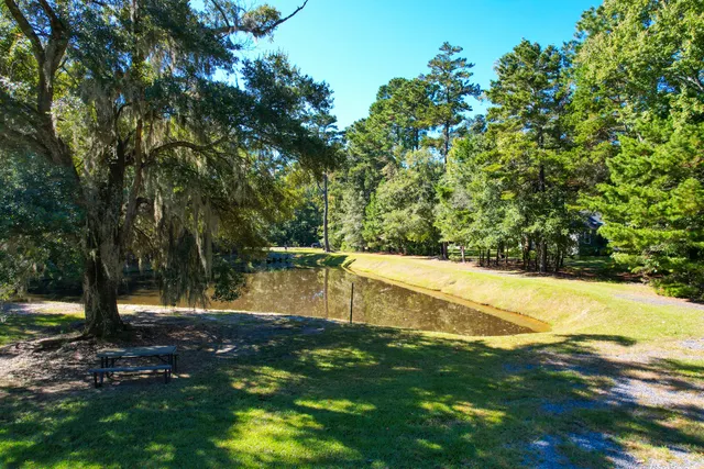 $162,442 | 6682 Pepper Grass Trail, Ravenel, SC 29470