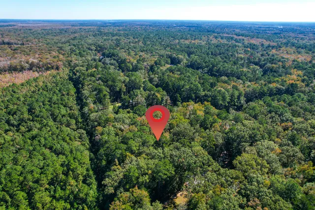 $162,442 | 6682 Pepper Grass Trail, Ravenel, SC 29470