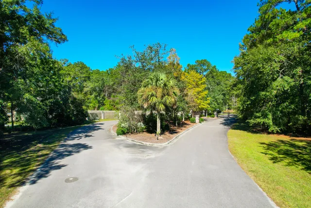 $162,442 | 6682 Pepper Grass Trail, Ravenel, SC 29470