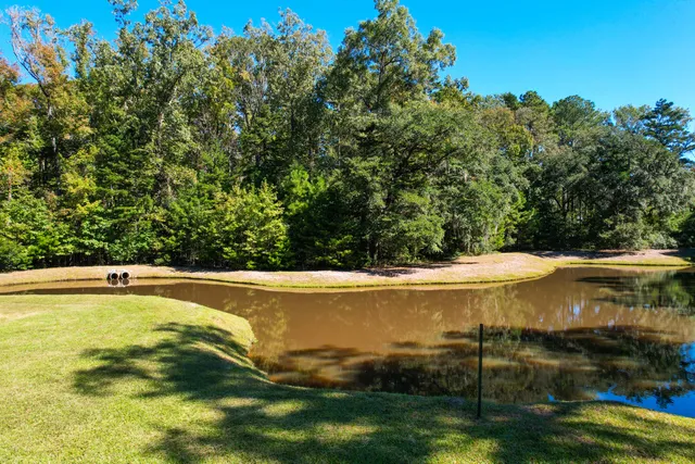 $162,442 | 6682 Pepper Grass Trail, Ravenel, SC 29470