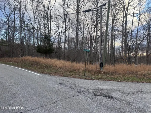 $19,900 | Lot 2 Indian Shadows Drive, Ten Mile, TN 37880