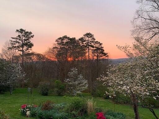 1114 Panorama Drive Chattanooga, TN 37421 - Photo 25 of 25 attachment (2)