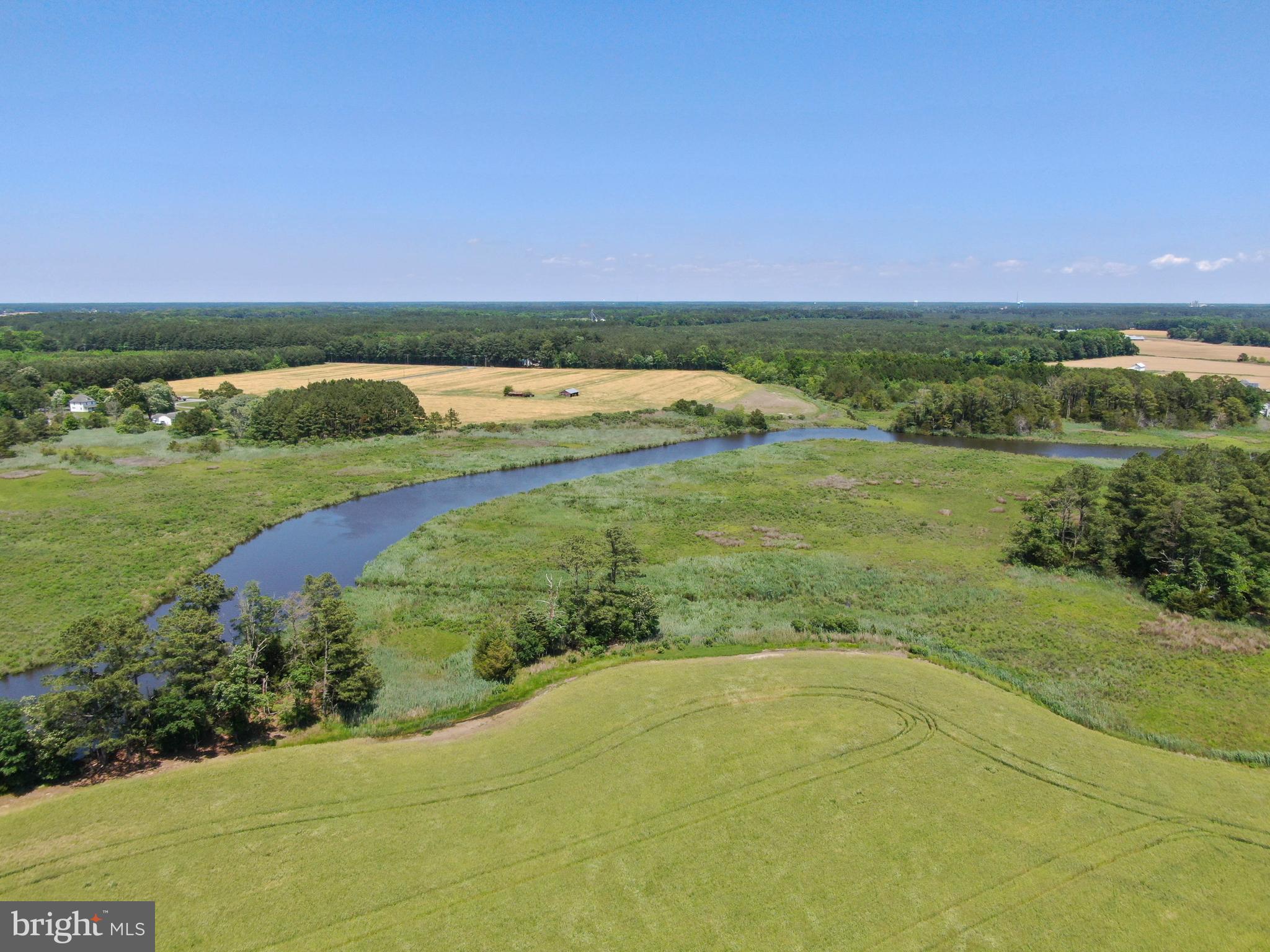 0 Millard Long Road Westover, MD 21871 - Photo 11 of 13 Gallery Image 11