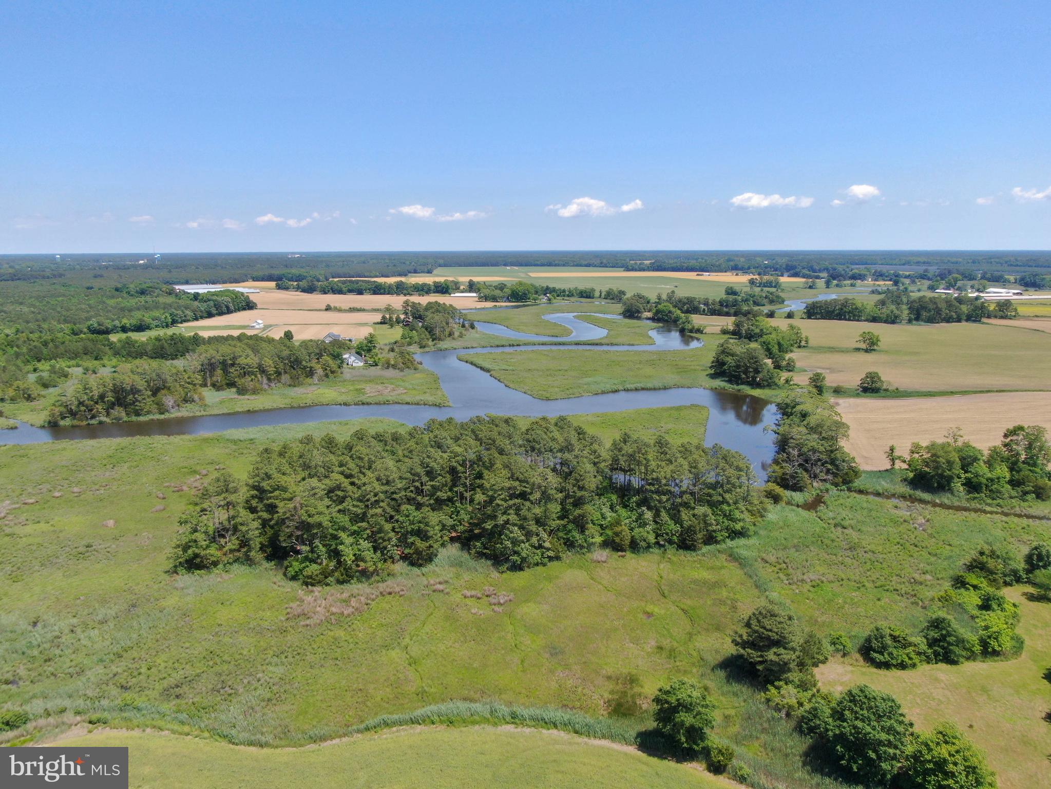 0 Millard Long Road Westover, MD 21871 - Photo 12 of 13 Gallery Image 12